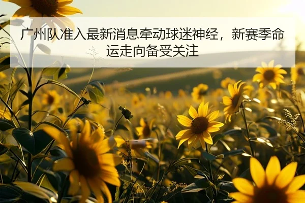 广州队准入最新消息牵动球迷神经，新赛季命运走向备受关注